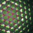 Im Zeitlupenkaleidoskop fließen Flüssigkeiten ganz langsam durch das Bild und verändern es so in Zeitlupe Farbenfrohes Kaleidoskop-Muster mit langsamer Bewegung, zeigt harmonische Anordnung sich wandelnder Formen.