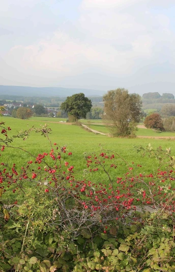 Hagebuttenland in Erpentrup.