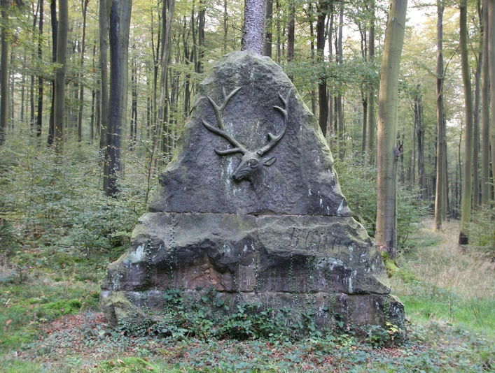 Bodostein Der Bodostein im Wald.