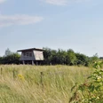 Barrierefreie Beobachtungshütte Beobachtungshütte auf einer Wiese, umgeben von Sträuchern, bietet Naturbeobachtungsmöglichkeit.