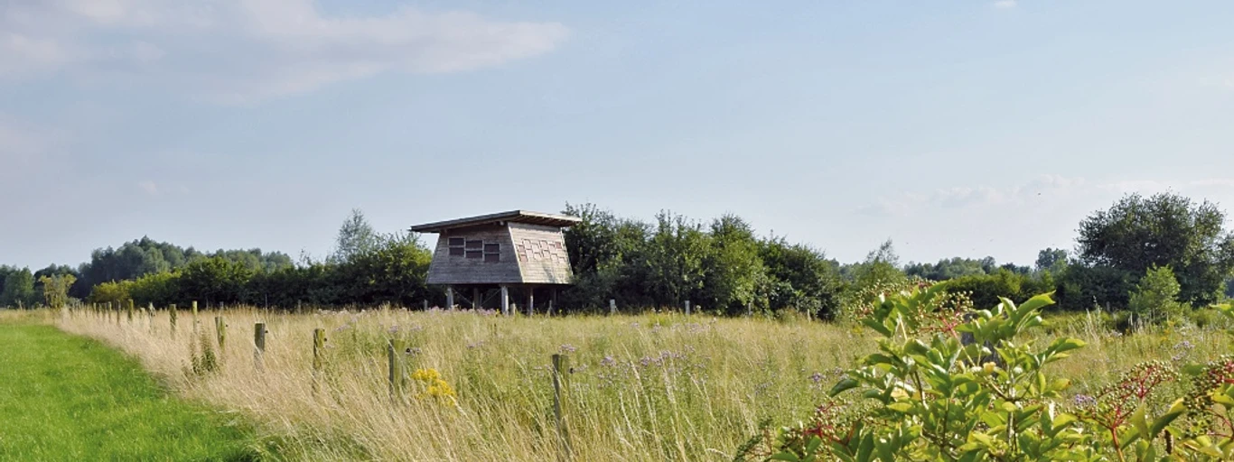 Barrierefreie Beobachtungshütte Beobachtungshütte auf einer Wiese, umgeben von Sträuchern, bietet Naturbeobachtungsmöglichkeit.