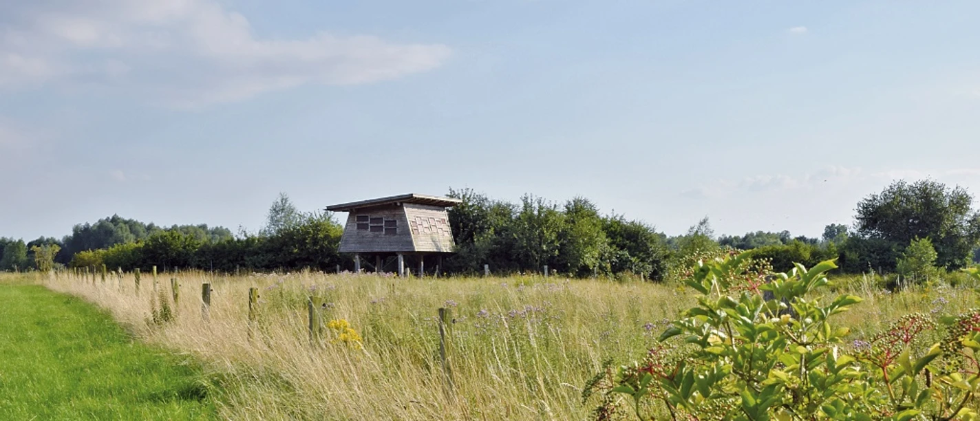 Barrierefreie Beobachtungshütte Beobachtungshütte auf einer Wiese, umgeben von Sträuchern, bietet Naturbeobachtungsmöglichkeit.