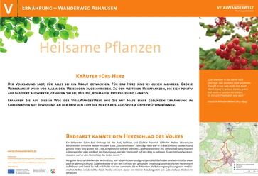 Wanderweg Alhausen bietet Informationen zu gesundheitsfördernden Kräutern wie Melisse und Ginko.