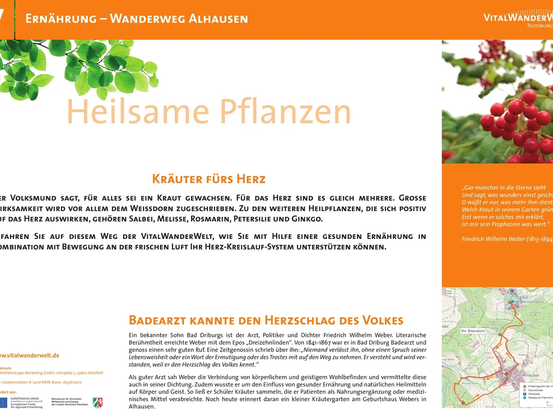 Wanderweg Alhausen bietet Informationen zu gesundheitsfördernden Kräutern wie Melisse und Ginko.