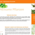 Wanderweg Alhausen bietet Informationen zu gesundheitsfördernden Kräutern wie Melisse und Ginko.