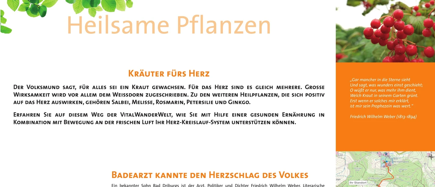 VitalWanderWelt Wanderweg Alhausen - Heilsame Pflanzen Wanderweg Alhausen bietet Informationen zu gesundheitsfördernden Kräutern wie Melisse und Ginko.