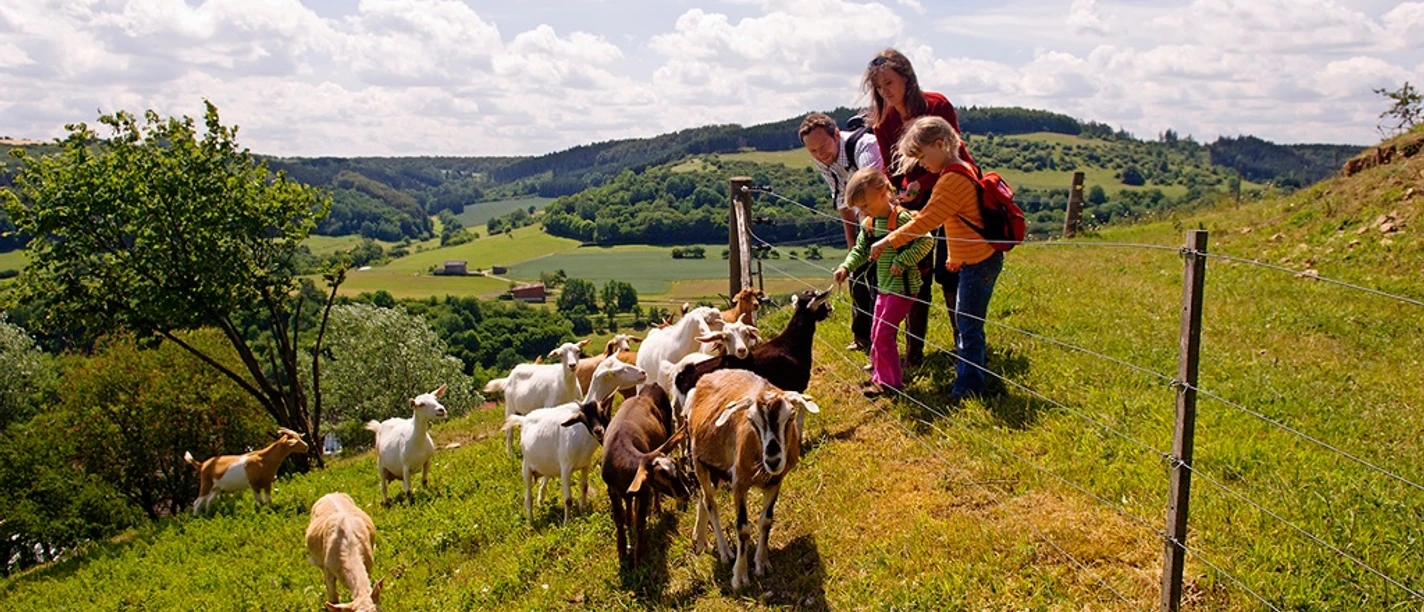 Ziegenweide am Schnegelberg Eine Gruppe von Besuchern füttert freundlich Ziegen auf einer grünen Wiese mit sanfter Hanglage.