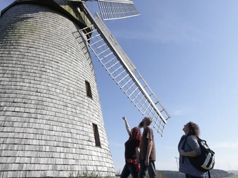Blick auf die Mühle Drei Personen betrachten eine historische Holz-Windmühle auf einer Wiese, im Hintergrund blauer Himmel.