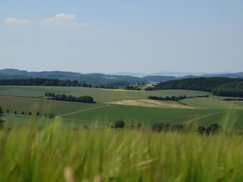 Blick aus der Ferne Weitläufige grüne Felder und sanfte Hügel erstrecken sich bis zum Horizont unter blauem Himmel.