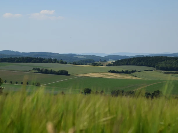 Blick aus der Ferne Weitläufige grüne Felder und sanfte Hügel erstrecken sich bis zum Horizont unter blauem Himmel.