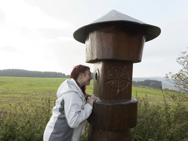 Blick durch den Taller Wichtel Eine Frau schaut durch ein hölzernes Monokular in einem weitläufigen, grünen Feld mit Waldhorizont.