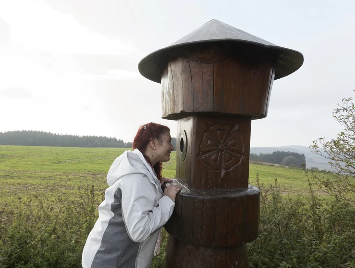 Blick durch den Taller Wichtel Eine Frau schaut durch ein hölzernes Monokular in einem weitläufigen, grünen Feld mit Waldhorizont.
