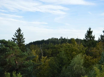 Ausblick zum Eggeturm auf der Preussischen Velmerstot Der Eggeturm erhebt sich auf einem dicht bewaldeten Hügel unter einem weiten, klaren Himmel.