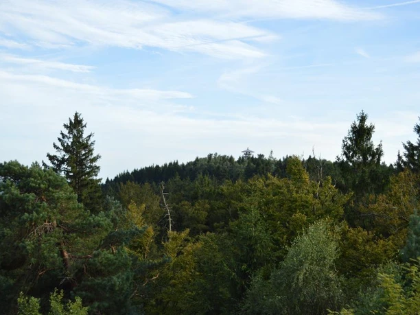 Ausblick zum Eggeturm auf der Preussischen Velmerstot Der Eggeturm erhebt sich auf einem dicht bewaldeten Hügel unter einem weiten, klaren Himmel.