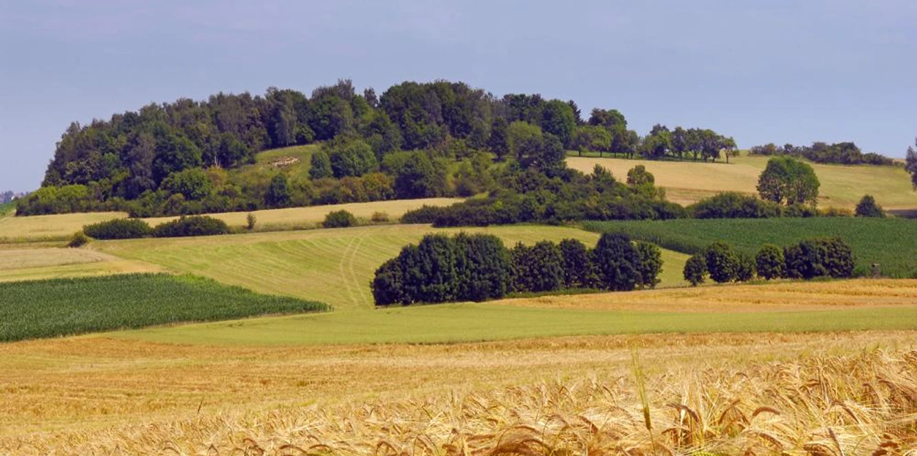 Sanfte Hügel mit vielfältigen Grüntönen und goldenen Feldern am Rabensberg in der Naturlandschaft.