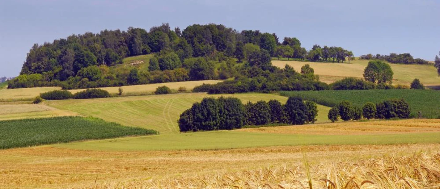 Sanfte Hügel mit vielfältigen Grüntönen und goldenen Feldern am Rabensberg in der Naturlandschaft.