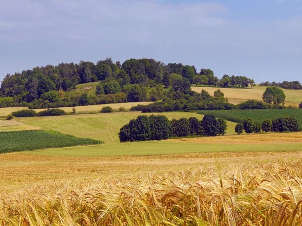 Blick auf den Rabensberg im FFH-Gebiet "Kalkmagerrasen bei Ossendorf" Sanfte Hügel mit vielfältigen Grüntönen und goldenen Feldern am Rabensberg in der Naturlandschaft.