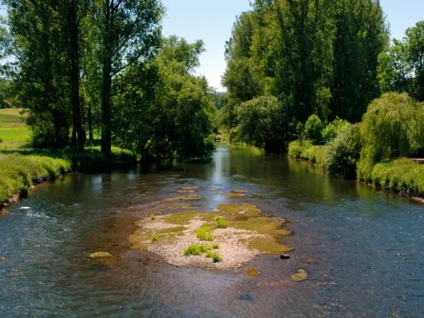Flacher Fluss mit grüner Insel, umgeben von hohen Bäumen und Wiesen unter klarem Himmel.
