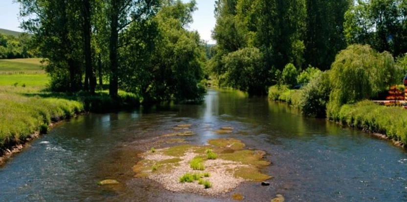 Flacher Fluss mit grüner Insel, umgeben von hohen Bäumen und Wiesen unter klarem Himmel.