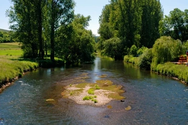 Naturnah aber nicht natürlich - Diemellauf unterhalb Warburgs Flacher Fluss mit grüner Insel, umgeben von hohen Bäumen und Wiesen unter klarem Himmel.
