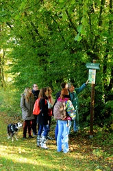Mühlendrift 1 Eine Gruppe von Menschen mit einem Hund liest ein Wegweiserschild im bewaldeten Gebiet Alte Mühlendrift.