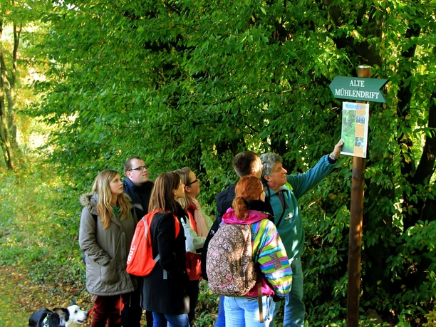 Mühlendrift 1 Eine Gruppe von Menschen mit einem Hund liest ein Wegweiserschild im bewaldeten Gebiet Alte Mühlendrift.