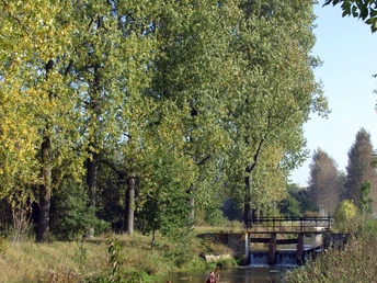 Naturnaher Wasserkanal umgeben von hohen Bäumen und grüner Vegetation unter klarem Himmel.