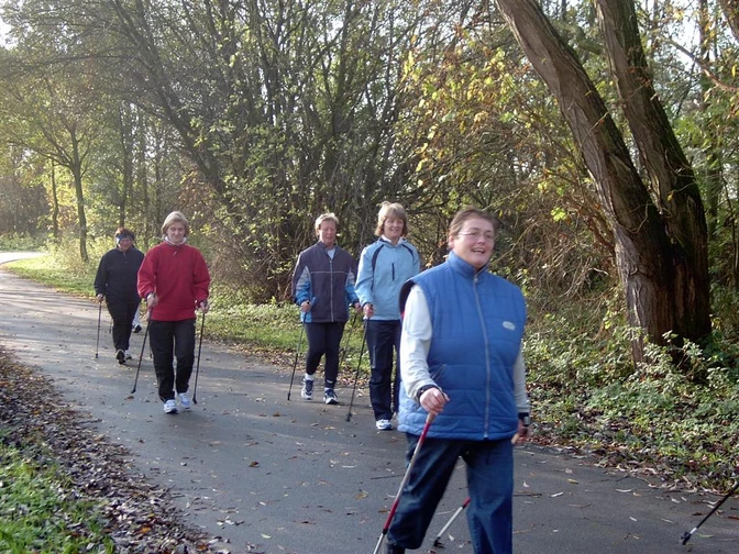 Nordic Walker Eine Gruppe von fünf Personen, die fröhlich auf einem Waldweg nordic walken, umgeben von Herbstlaub.