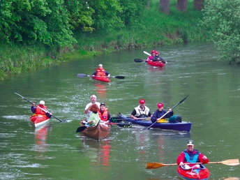 Kanufahrer paddeln auf einem grünen Fluss, umgeben von üppigen, bewaldeten Ufern.