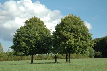 Bildstock mit Bäumen Zwei große Laubbäume flankieren ein kleines Holzkreuz auf einer grünen Wiese unter blauem Himmel.