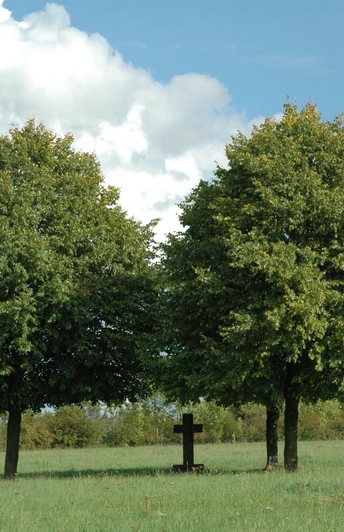 Bildstock mit Bäumen Zwei große Laubbäume flankieren ein kleines Holzkreuz auf einer grünen Wiese unter blauem Himmel.