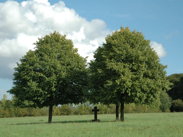 Bildstock mit Bäumen Zwei große Laubbäume flankieren ein kleines Holzkreuz auf einer grünen Wiese unter blauem Himmel.