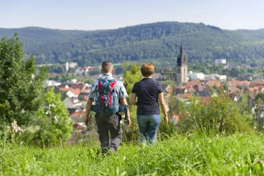 Wanderer auf dem nördlichen Sachsenring Zwei Wanderer mit Blick auf eine Stadt, umgeben von bewaldeten Hügeln. Klarer Himmel.