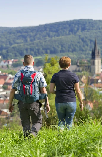 Wanderer auf dem nördlichen Sachsenring Zwei Wanderer mit Blick auf eine Stadt, umgeben von bewaldeten Hügeln. Klarer Himmel.