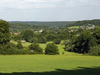 Landschaft bei Bad Driburg Grüne Wiesen und Wälder umgeben das historische Stadtbild von Bad Driburg im Sommer.