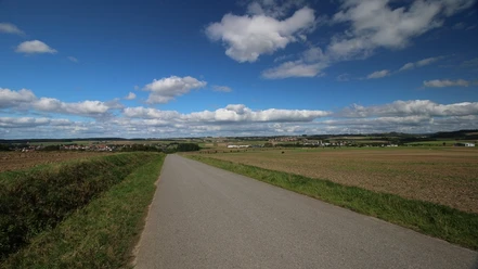 Blick auf Dalhausen (rechts), Borgholz (Mitte) und Natzungen (links). Weite Felder und Wiesen erstrecken sich vor einer ländlichen Straße, unter einem blauen Himmel mit Wolken.