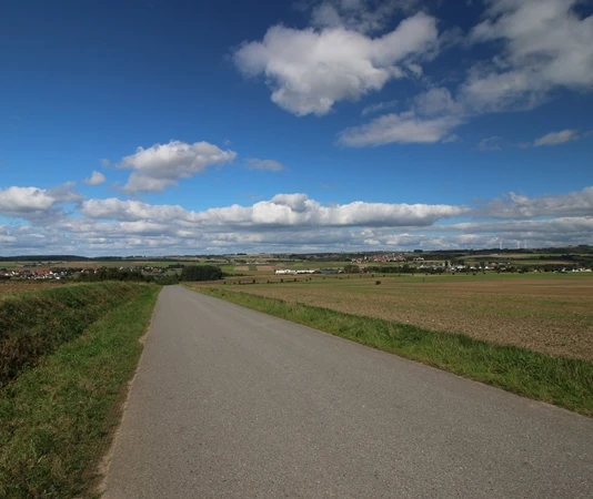 Blick auf Dalhausen (rechts), Borgholz (Mitte) und Natzungen (links). Weite Felder und Wiesen erstrecken sich vor einer ländlichen Straße, unter einem blauen Himmel mit Wolken.