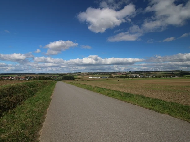 Blick auf Dalhausen (rechts), Borgholz (Mitte) und Natzungen (links). Weite Felder und Wiesen erstrecken sich vor einer ländlichen Straße, unter einem blauen Himmel mit Wolken.