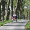 image Eine Familie mit zwei Kindern fährt auf Fahrrädern durch eine von Bäumen gesäumte Allee im Frühling.