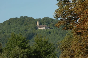 Iburg mit Turm erhebt sich majestätisch im Wald, von grünen Bäumen umgeben, sonnenbeschienen.