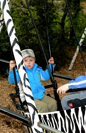 Kinder im Tierpark Nadermann Zwei Kinder schaukeln vergnügt auf einer Zebrastreifen-Schaukel im Tierpark Nadermann.