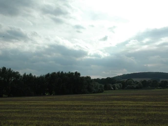 Blick Richtung Varusberg Weite Landschaft mit bewölktem Himmel und Hügel im Hintergrund, umgeben von dichten Bäumen.
