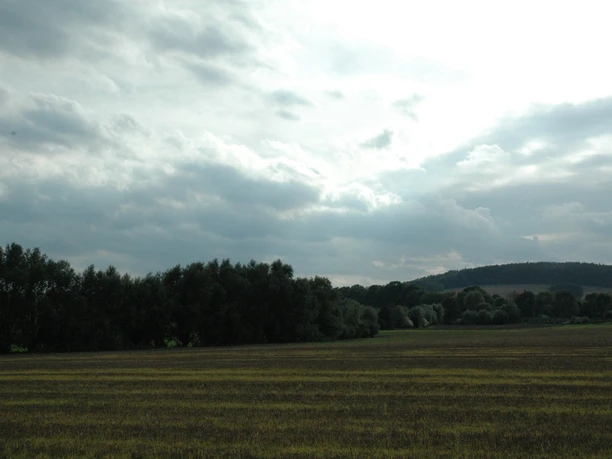 Blick Richtung Varusberg Weite Landschaft mit bewölktem Himmel und Hügel im Hintergrund, umgeben von dichten Bäumen.