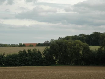 Blick Richtung Oeynhausen Weitläufige Felder und Wälder in sanften Hügeln unter einem bewölkten Himmel Richtung Oeynhausen.
