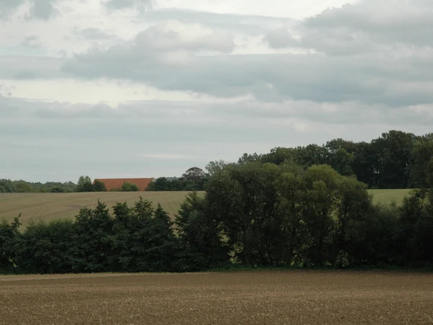 Blick Richtung Oeynhausen Weitläufige Felder und Wälder in sanften Hügeln unter einem bewölkten Himmel Richtung Oeynhausen.