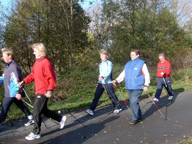 Nordic Walker Gruppe von fünf Nordic Walkern in Bewegung auf einem asphaltierten Weg, umgeben von Herbstbäumen.