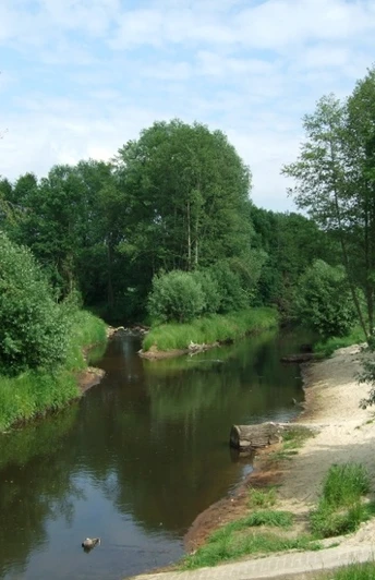Ein ruhiger, von Bäumen gesäumter Fluss mit sandigem Ufer unter einem teils bewölkten Himmel.