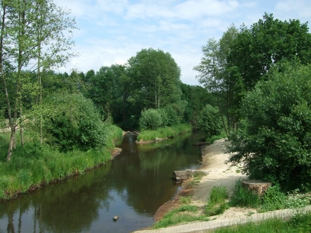 Die Ems Ein ruhiger, von Bäumen gesäumter Fluss mit sandigem Ufer unter einem teils bewölkten Himmel.