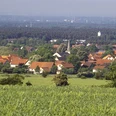 Blick vom S-Weg (Hühnerberg) auf Schlangen Eine sanfte Landschaft mit Feldern im Vordergrund, dahinter ein Dorf mit roten Dächern und Wäldern.