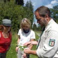 Ein Förster erklärt zwei Frauen im Wald wissbegierig die Pflanzenbeschaffenheit eines Blattes.